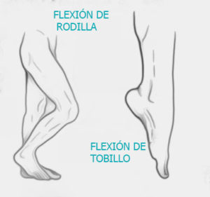flexión rodilla y tobilla